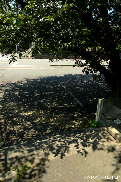 f0041908_1333559.jpg