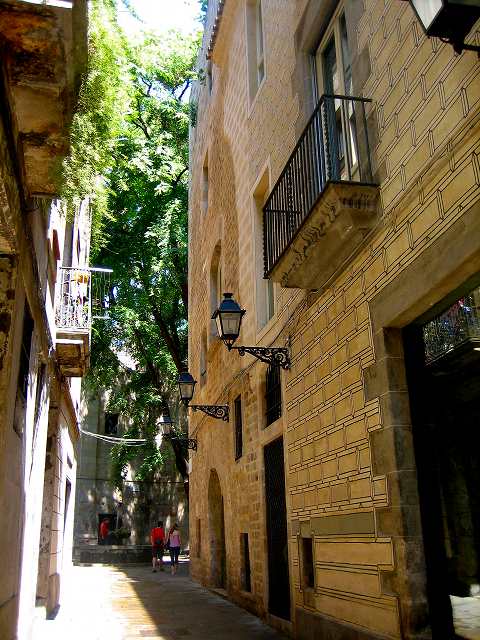 b0064411_654914.jpg