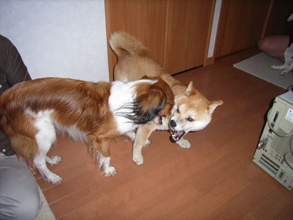 d0079912_1444027.jpg