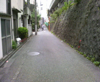 a0077616_1112473.jpg
