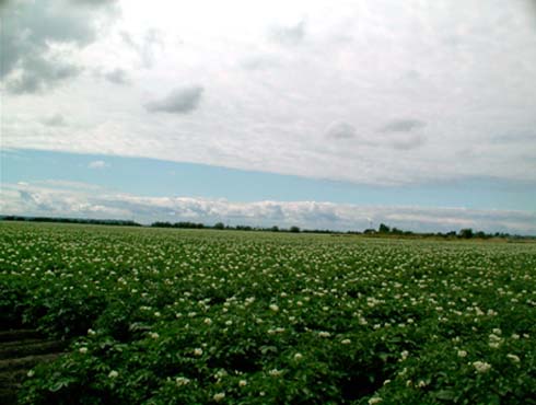 c0018716_12334332.jpg