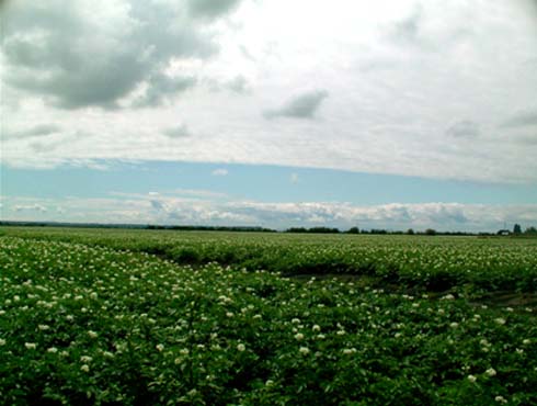 c0018716_12341014.jpg