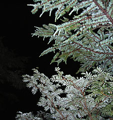 d0023725_9181872.jpg