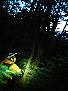 d0023725_918911.jpg