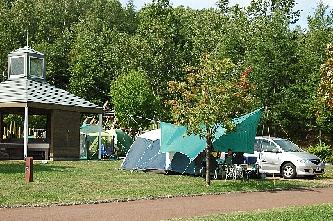 e0064128_824428.jpg