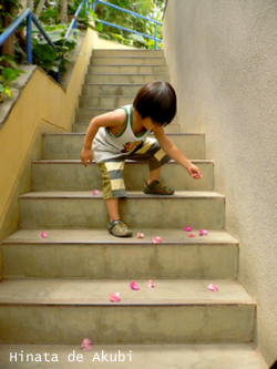 f0006732_23225742.jpg