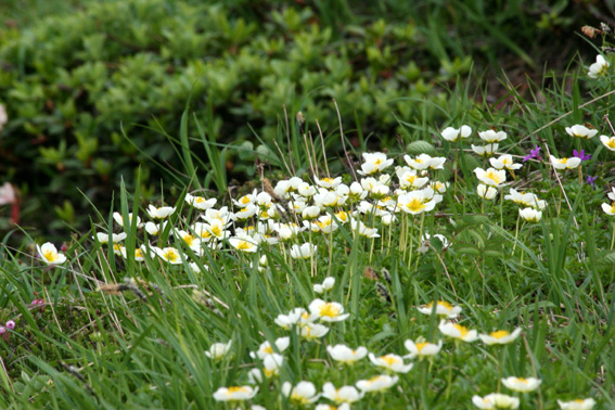 d0069235_0285097.jpg