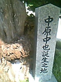 f0062135_1261666.jpg