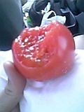 f0062135_2134974.jpg