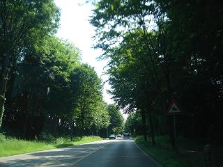 b0094239_17191314.jpg