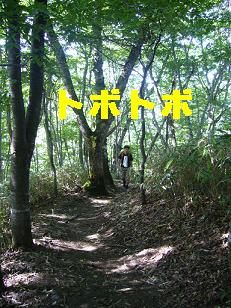 f0065941_0143525.jpg