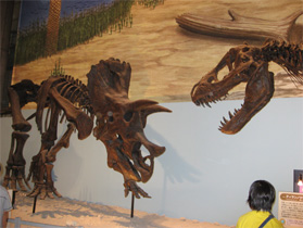f0098841_21373641.jpg