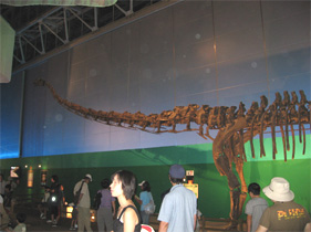 f0098841_2137542.jpg
