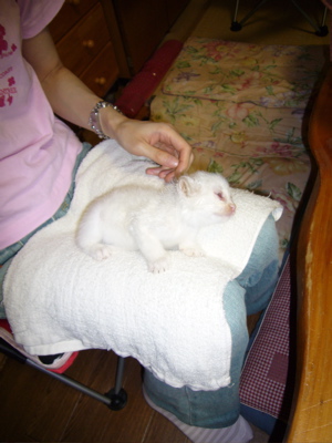 e0058443_0579.jpg