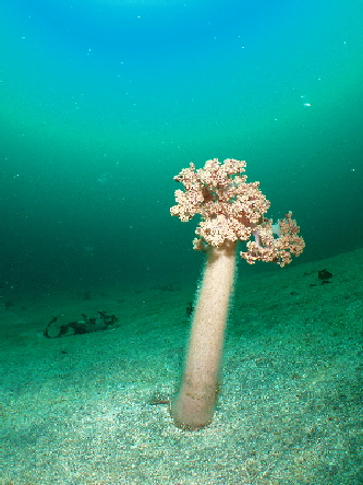 d0021952_22374536.jpg