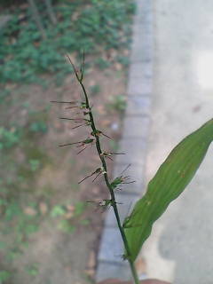e0063653_1444217.jpg