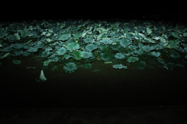 d0013363_592199.jpg
