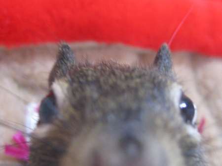 a0015164_9424188.jpg