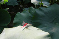 d0065364_2534566.jpg