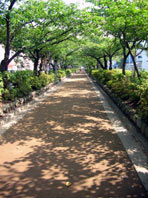 d0065364_2565199.jpg