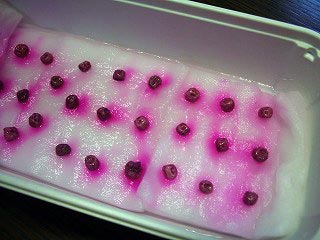 c0045882_22514768.jpg