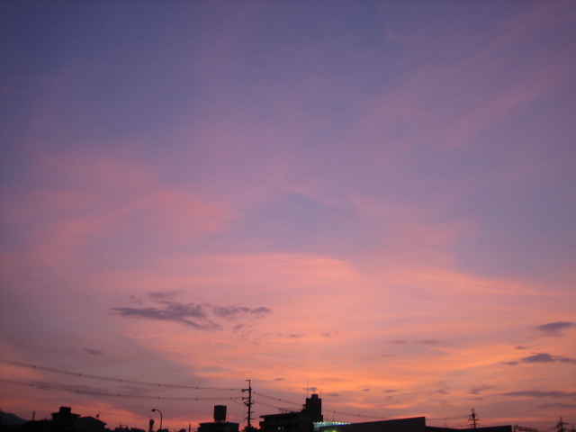 e0051194_2361416.jpg