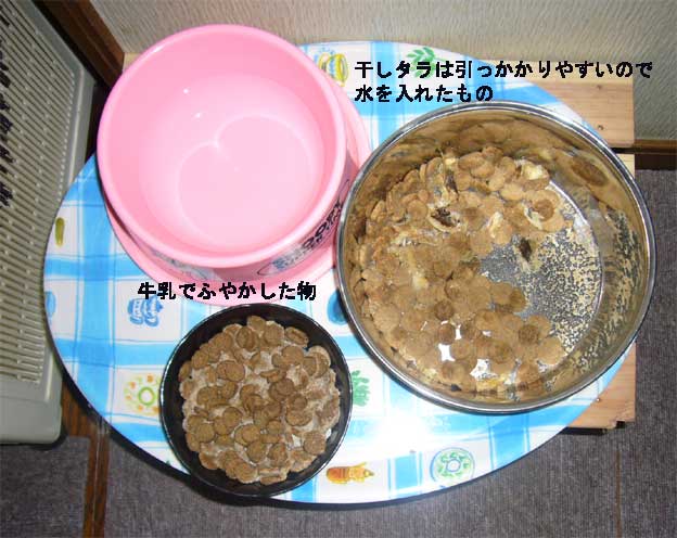 e0018604_189969.jpg