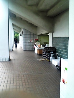 a0024005_15409.jpg