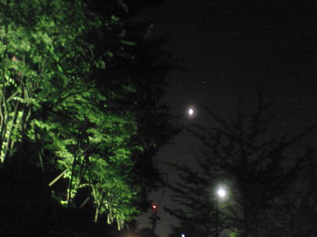 d0071507_22422363.jpg