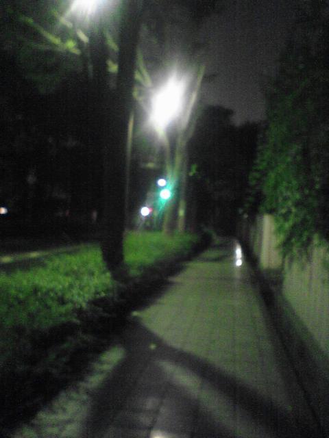 d0071507_22423287.jpg