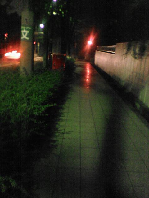d0071507_22424053.jpg