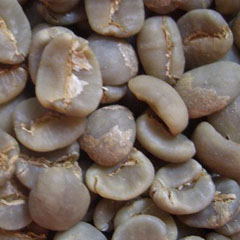 c0036617_14503970.jpg