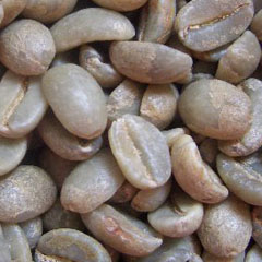 c0036617_1451107.jpg