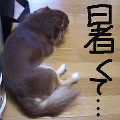 c0036617_14514067.jpg