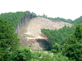 e0002820_17281022.jpg