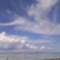 c0020127_16314469.jpg