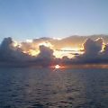 c0020127_16331411.jpg