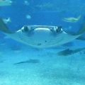 c0020127_16522969.jpg