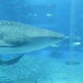 c0020127_16532097.jpg