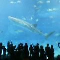 c0020127_16562354.jpg
