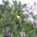c0020127_1761491.jpg