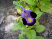 e0080345_17501551.jpg