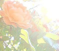 b0091248_22472763.jpg