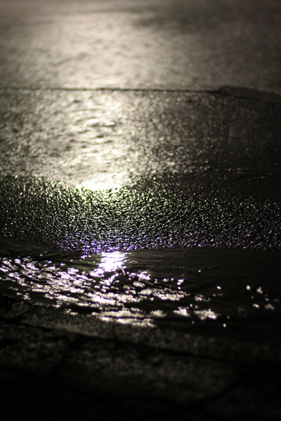 a0024250_2110976.jpg