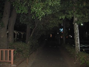 d0034659_21563644.jpg