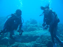 b0062363_154378.jpg