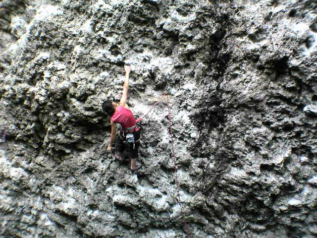 b0047265_9355866.jpg