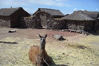 f0059671_20482.jpg