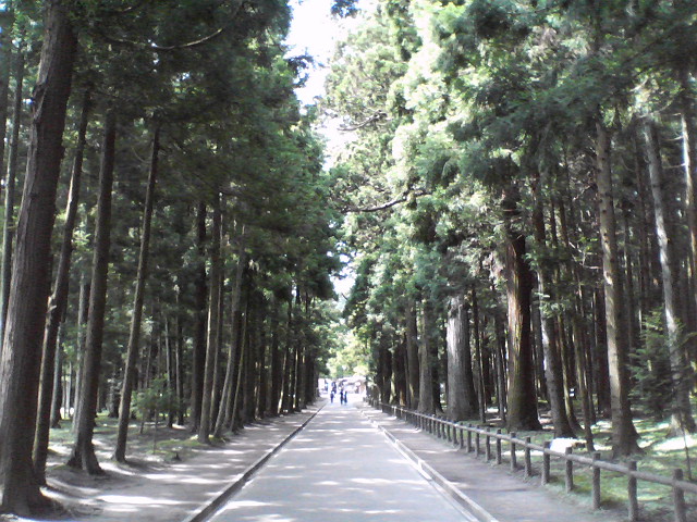d0017172_1642261.jpg