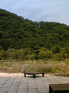 a0007182_1672543.jpg